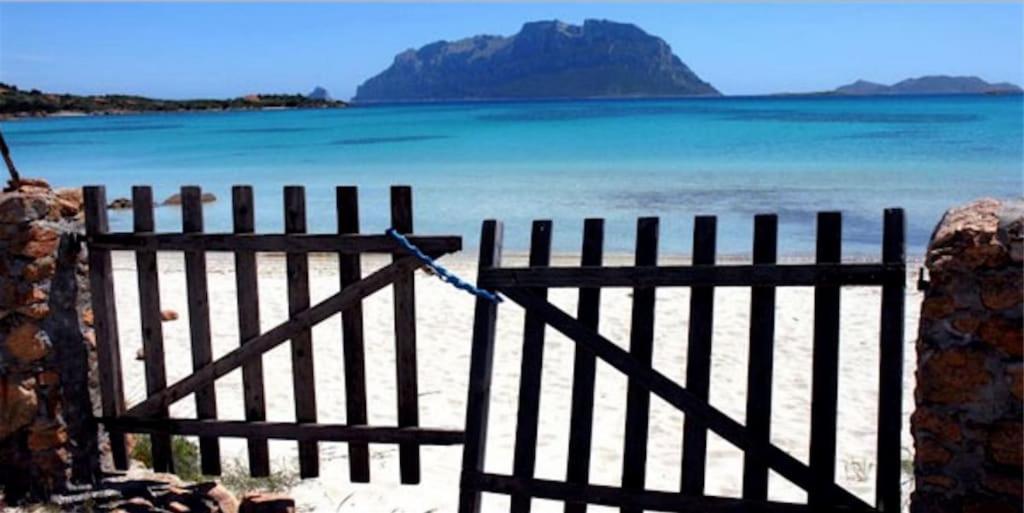 Costa Corallina Villa Con Spiaggia Sotto Casa E Vista Meravigliosa Dış mekan fotoğraf